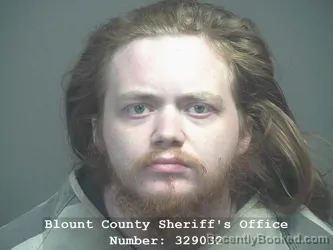 Mugshot of ISAAC DEXTER JONES booked in Blount County, Tennessee on March 25, 2026