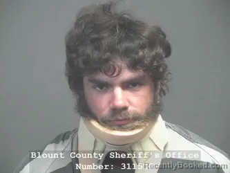 Mugshot of JAMES DAKOTA JENKINS booked in Blount County, Tennessee on April 9, 2026