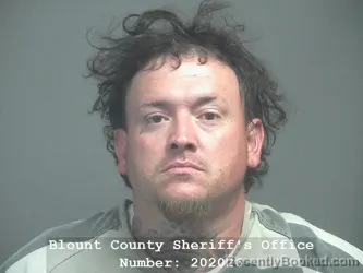 Mugshot of JAKE TEGAN JOHNSON booked in Blount County, Tennessee on April 19, 2026