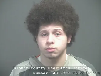 Mugshot of SEBASTIAN PAUL JONES booked in Blount County, Tennessee on March 13, 2026