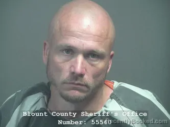 Mugshot of Timothy A Johnson booked in Blount County, Tennessee on July 8, 2026