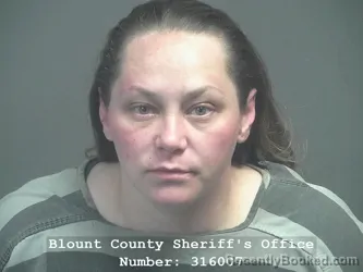 Mugshot of VALARIE LOUISE JACKSON booked in Blount County, Tennessee on April 3, 2026