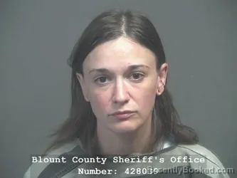 Mugshot of Alanna Christine Kelsey booked in Blount County, Tennessee on August 4, 2026