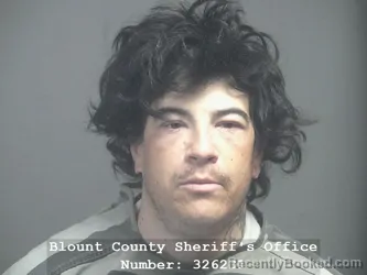 Mugshot of MATTHEW RYAN KOLP booked in Blount County, Tennessee on May 31, 2026