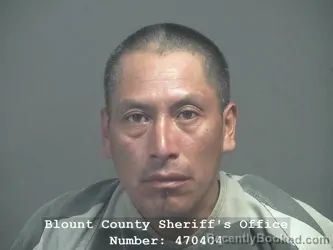 Mugshot of Alfredo Lopez-Pedro booked in Blount County, Tennessee on August 26, 2026