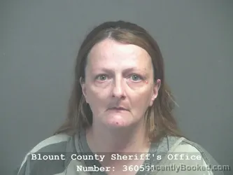 Mugshot of AMANDA ROSE LAY booked in Blount County, Tennessee on April 9, 2026