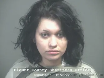 Mugshot of Briley Addlynne Lawson booked in Blount County, Tennessee on July 11, 2026