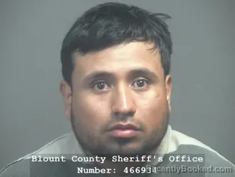 Booking photo from Blount County, Tennessee