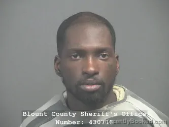 Mugshot of GANT BOHEEM YAVE LILLARD booked in Blount County, Tennessee on March 25, 2026