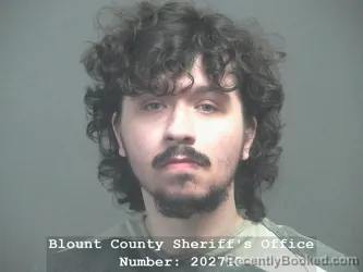 Mugshot of JEREMY RYAN LAY booked in Blount County, Tennessee on April 25, 2026