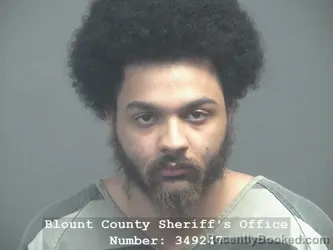Mugshot of NOAH DEWAYNE LEWIS booked in Blount County, Tennessee on April 17, 2026