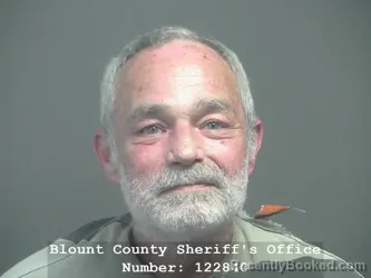 Mugshot of RAYMOND HAROLD LEWIS booked in Blount County, Tennessee on June 5, 2026