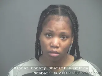 Mugshot of SYDNEY MCKENZIE LEWIS booked in Blount County, Tennessee on April 4, 2026