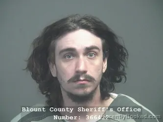 Mugshot of William Wiley Laney booked in Blount County, Tennessee on August 26, 2026