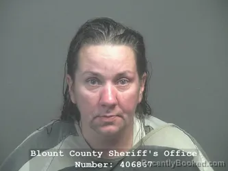 Mugshot of Andrea Lillian Massey booked in Blount County, Tennessee on August 6, 2026