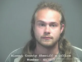 Mugshot of ANAKIN SKYWALKER MCCLURE booked in Blount County, Tennessee on April 18, 2026