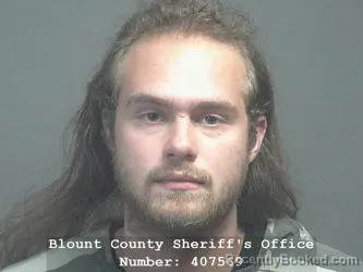 Mugshot of Anakin Skywalker Mcclure booked in Blount County, Tennessee on July 11, 2026