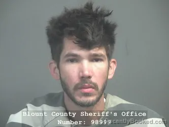 Mugshot of CHARLES EDWARD MCMAHAN booked in Blount County, Tennessee on April 4, 2026