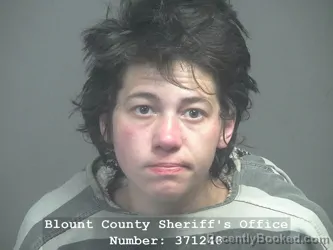 Mugshot of CHEYANNE MICHELLE MIZE booked in Blount County, Tennessee on March 25, 2026