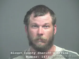 Mugshot of DAVID THOMAS MOULD booked in Blount County, Tennessee on April 2, 2026