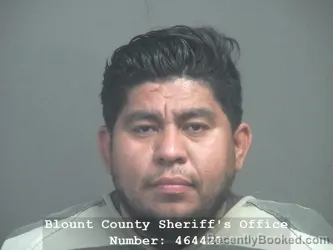 Mugshot of GERSON ALEXANDER MALDONADO-BETANCO booked in Blount County, Tennessee on March 29, 2026