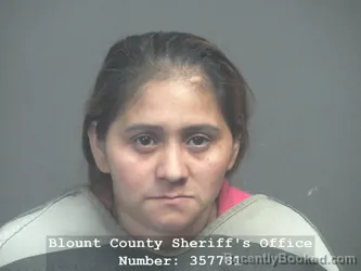 Mugshot of GLORIA DEL-CARMEN MARADIAGA-REYES booked in Blount County, Tennessee on April 24, 2026