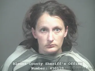 Mugshot of KELSEY DIANE MARTIN booked in Blount County, Tennessee on March 24, 2026