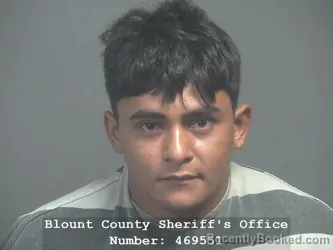 Mugshot of Kenex Efreiden Matamoros Romero booked in Blount County, Tennessee on August 5, 2026