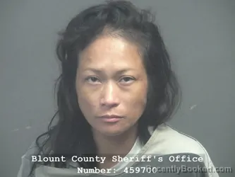 Mugshot of Margay Lumanlan Mumy booked in Blount County, Tennessee on August 3, 2026