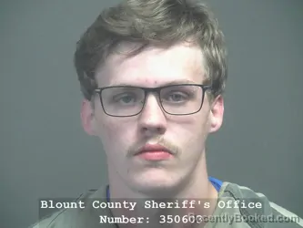 Mugshot of MASON WALKER MYERS booked in Blount County, Tennessee on June 10, 2026