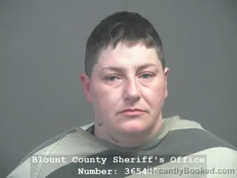 Mugshot of SHANNON DONECE MCLEMORE booked in Blount County, Tennessee on June 10, 2026