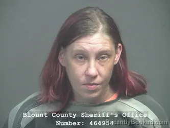 Mugshot of Tabitha Jackson Mason booked in Blount County, Tennessee on July 30, 2026