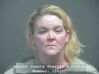 Mugshot of TIFFANY NICOLE MILLSAPS booked in Blount County, Tennessee on March 28, 2026