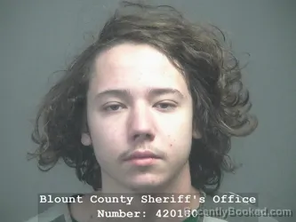 Mugshot of ISRAEL JAMESON NEWTON booked in Blount County, Tennessee on March 8, 2026