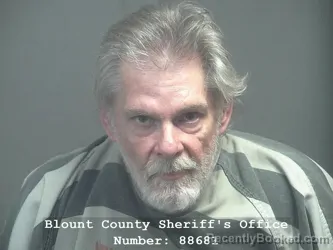 Mugshot of CRAIG ALAN OGLE booked in Blount County, Tennessee on March 21, 2026