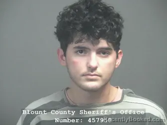 Mugshot of ETHAN HOWARD OWENS booked in Blount County, Tennessee on March 31, 2026