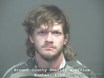 Mugshot of James Troy Ownby booked in Blount County, Tennessee on July 9, 2026