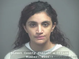 Mugshot of KATHERINE OCAMPO-FIGUEROA booked in Blount County, Tennessee on May 28, 2026