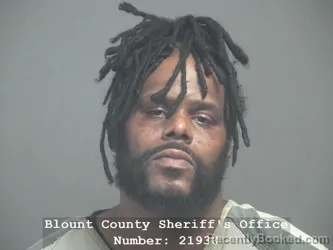 Booking photo from Blount County, Tennessee