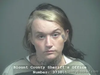 Mugshot of Sierra Mckenzie Ogle booked in Blount County, Tennessee on July 19, 2026