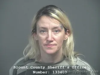 Mugshot of Ashley Nicole Plemons booked in Blount County, Tennessee on July 15, 2026