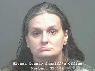 Mugshot of Amy Turner Palmer booked in Blount County, Tennessee on July 12, 2026