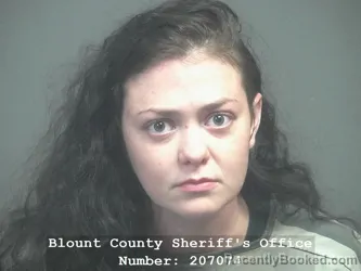 Mugshot of Alexis Victoria Payne booked in Blount County, Tennessee on July 10, 2026