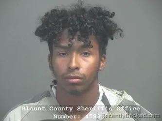 Mugshot of DAGOBERTO PEREZ HERNANDEZ booked in Blount County, Tennessee on April 4, 2026