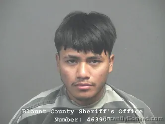 Mugshot of Juan Pascual Pascual-Pascual booked in Blount County, Tennessee on March 15, 2026