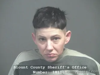 Mugshot of KATY MAY PFEFFER booked in Blount County, Tennessee on April 5, 2026