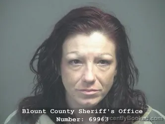 Mugshot of Kara Renee Pogue booked in Blount County, Tennessee on July 24, 2026