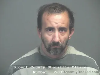 Mugshot of RICKY ALVIN PALMER booked in Blount County, Tennessee on June 2, 2026