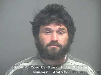 Mugshot of RAYMOND WILLIAM PERRY booked in Blount County, Tennessee on April 3, 2026