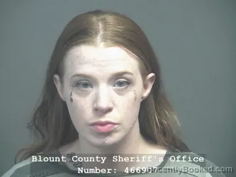 Mugshot of STEPHANIE NICOLE PEREZ booked in Blount County, Tennessee on June 3, 2026
